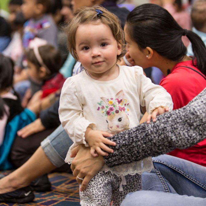 38 310817 Resize Ovsgpftw