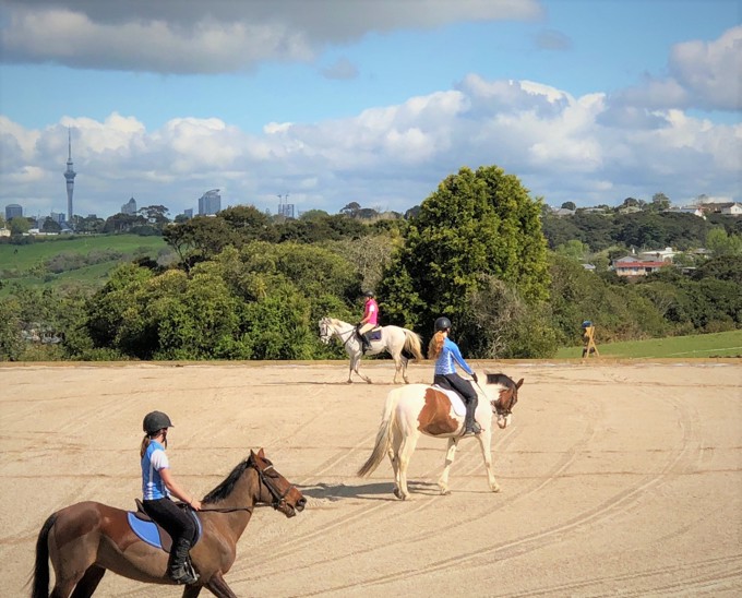 Meadowbank Pony Club gets a helping hand (1)