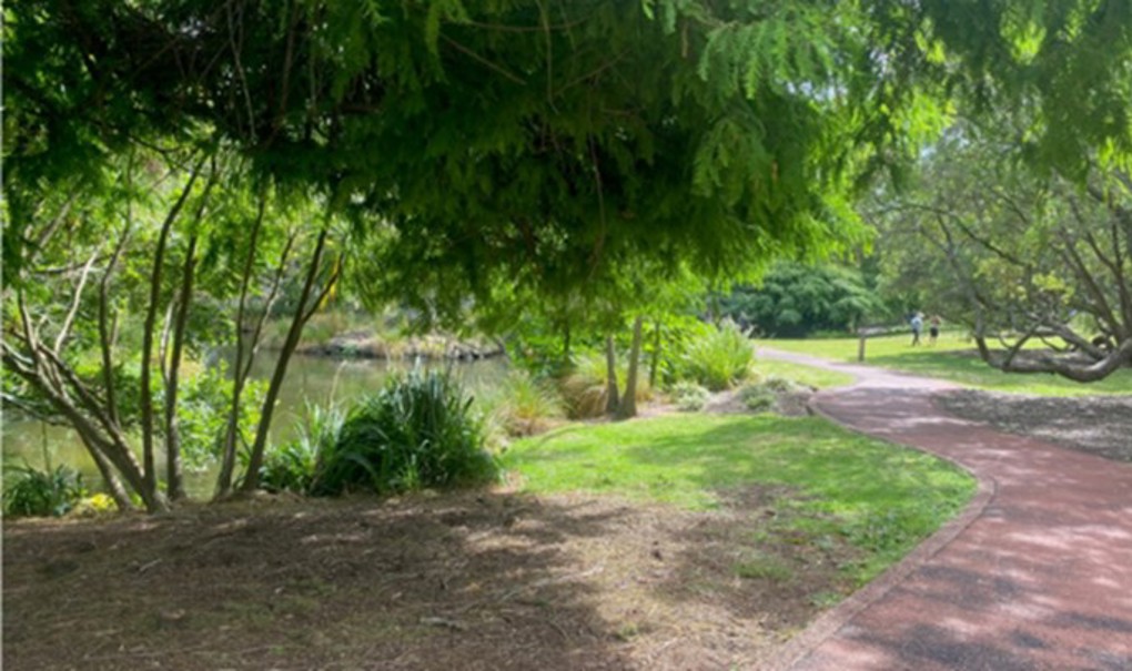 Domain Trial Site 1