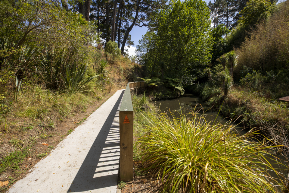 Waterview Shared Path