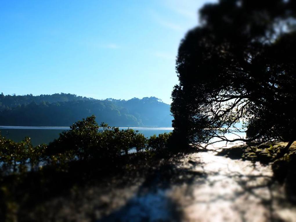 Naming project to celebrate Kaipatiki's Maori history