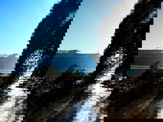 Naming project to celebrate Kaipatiki's Maori history