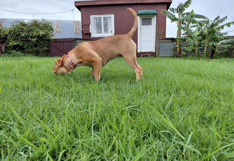 18A3bcfa 766B 435C 8B03 737B3df3c036