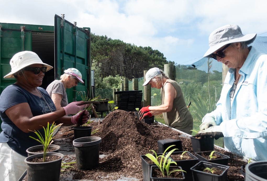 5 ways to protect Rodney’s environment