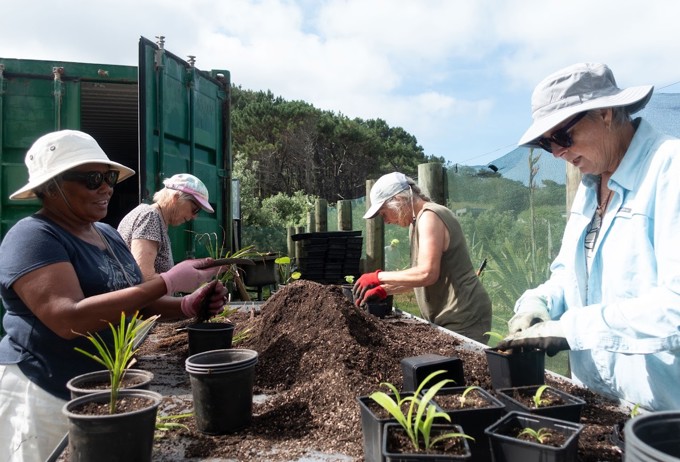 5 ways to protect Rodney’s environment