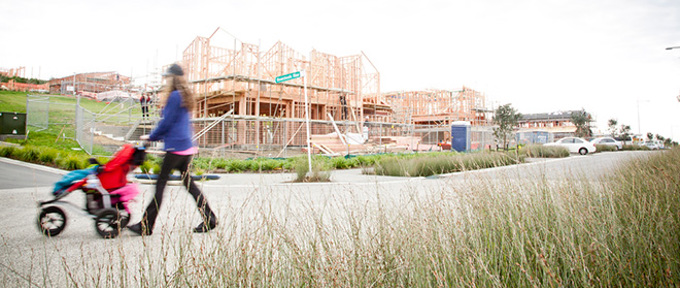 Auckland construction