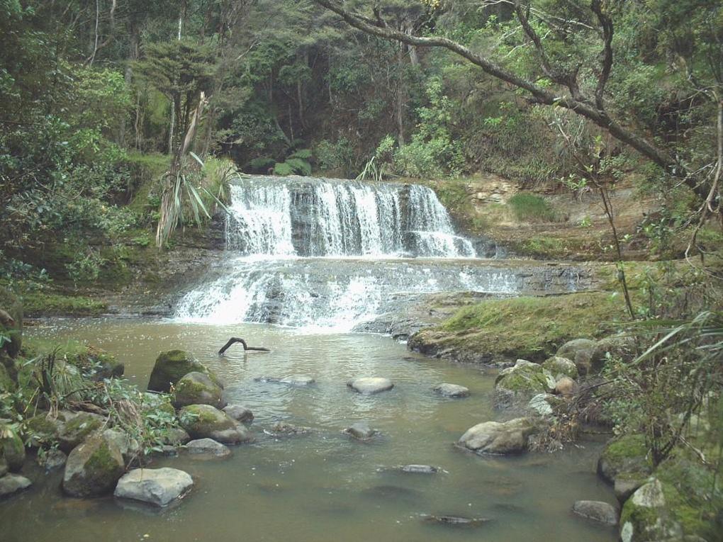 Omeru Reserve_small.jpg