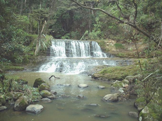 Omeru Reserve_small.jpg