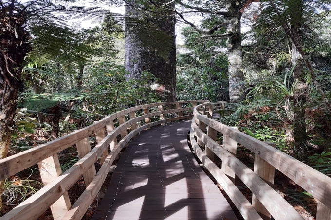 Much loved Spraggs Bush track reopens