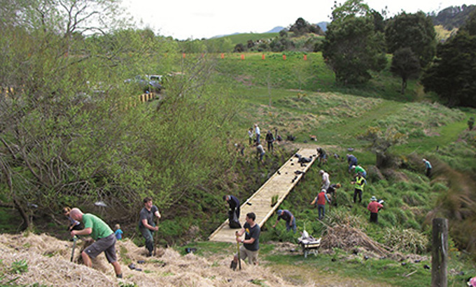 Community Project Success