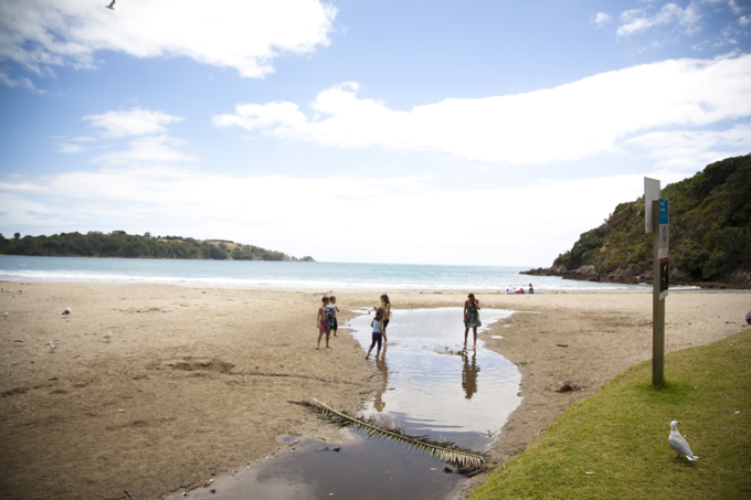 Waiheke environment grants
