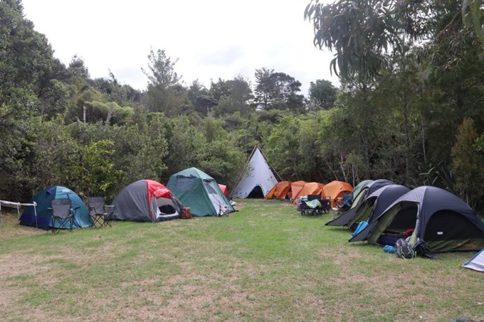 Totara Park to host family bush camp (2)