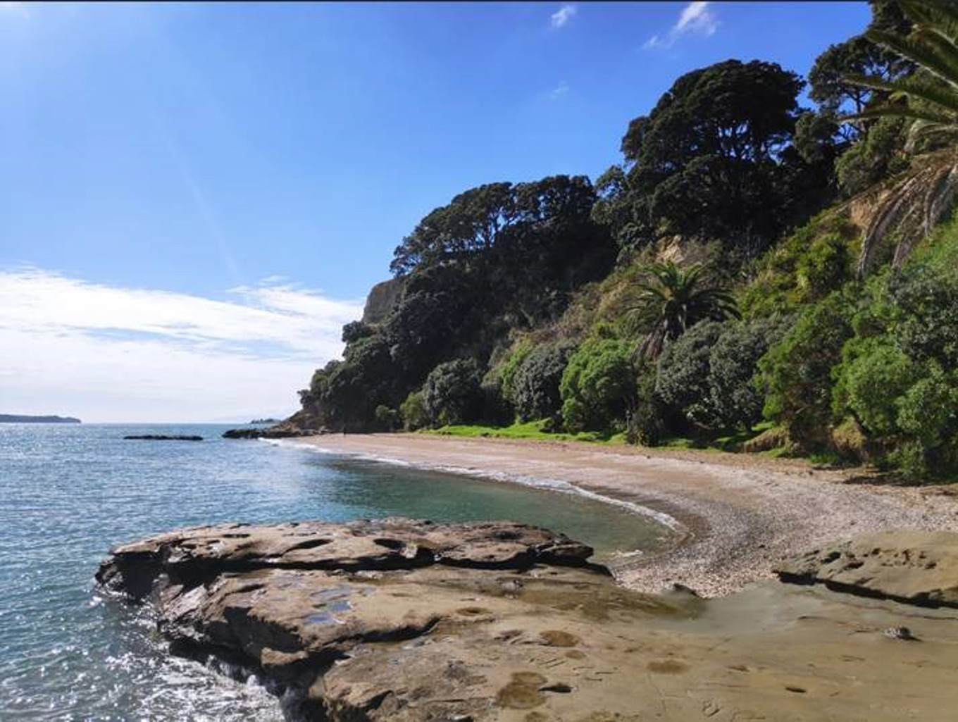 New access to Ladies Bay completed OurAuckland