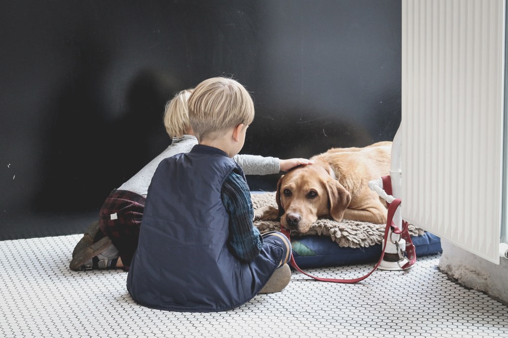 Keeping your children safe around dogs