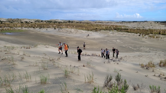 Reptile surveillance 2