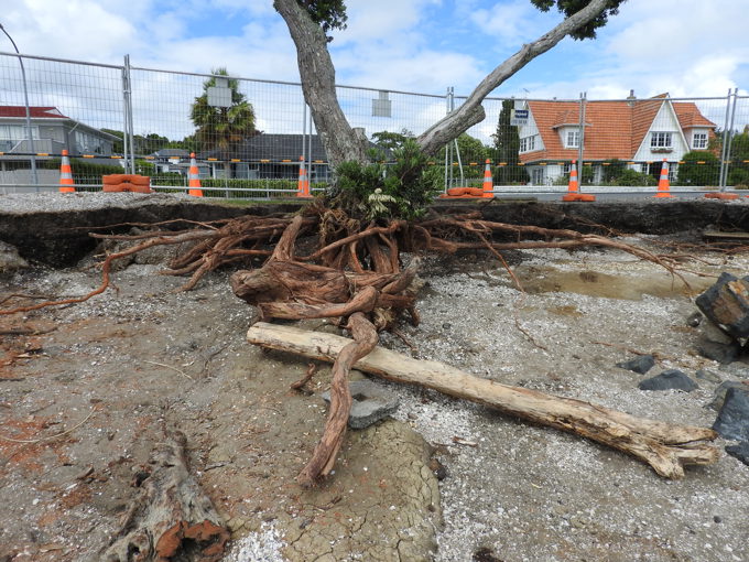 Urgent works needed to protect beach2