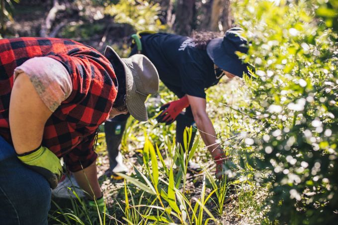 2601 Green Bay Stream Care 9738 2k - web_gsirpzrb.jpg