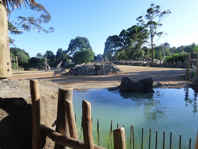 Zoo Tales: A slice of Africa this Easter_5