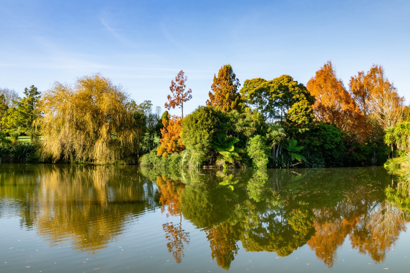 In the soft winter light, the lake at Auckland Botanical Gardens is a tranquil place to relax and reflect.