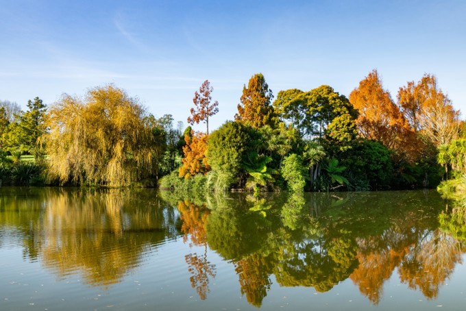 Botanic Gardens Image 9