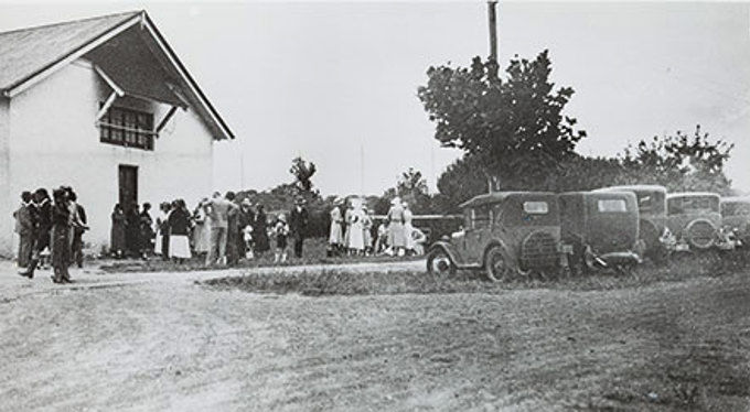 Peace tree honours the past