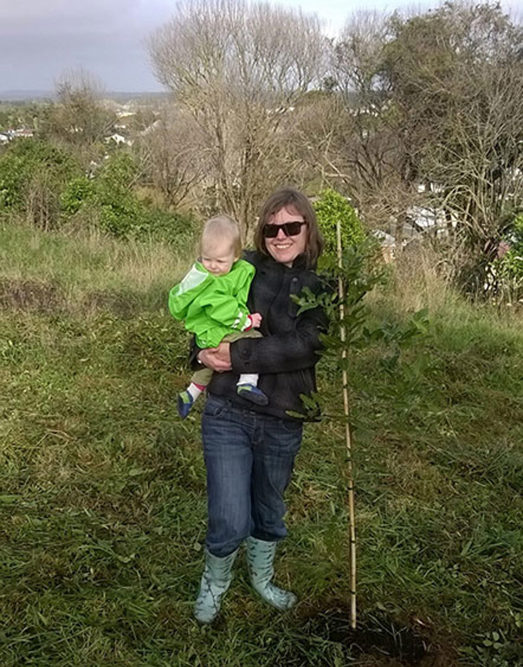A-forest-of-family-trees.jpg