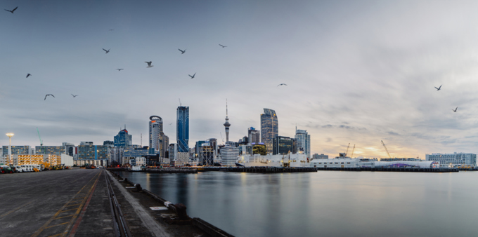 CCO Board intern programme