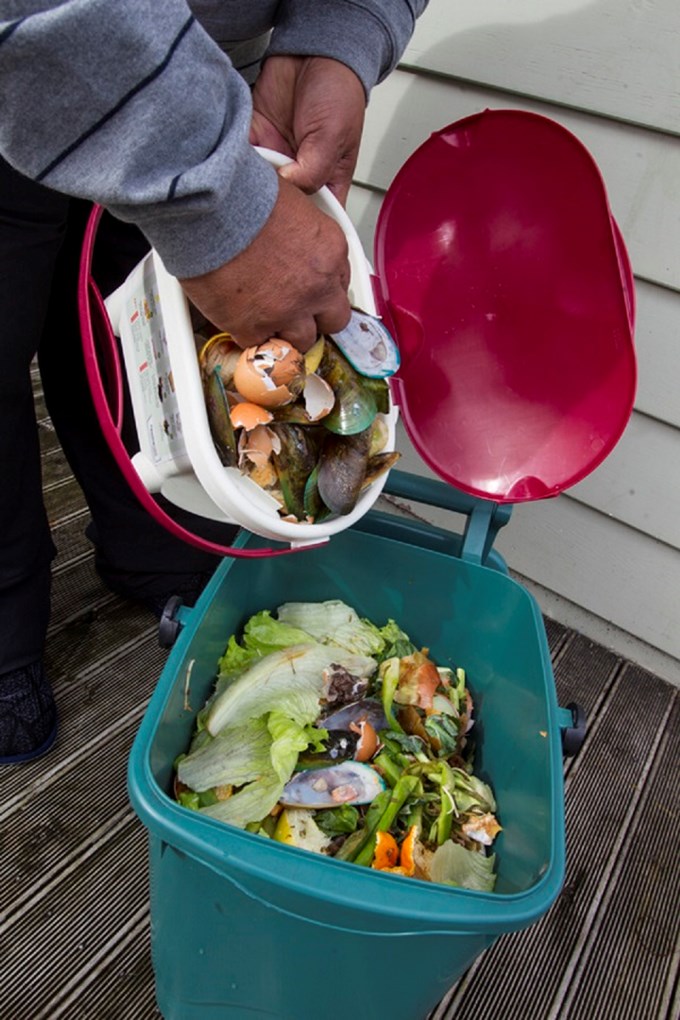 Papakura food scrap collections cut landfill load