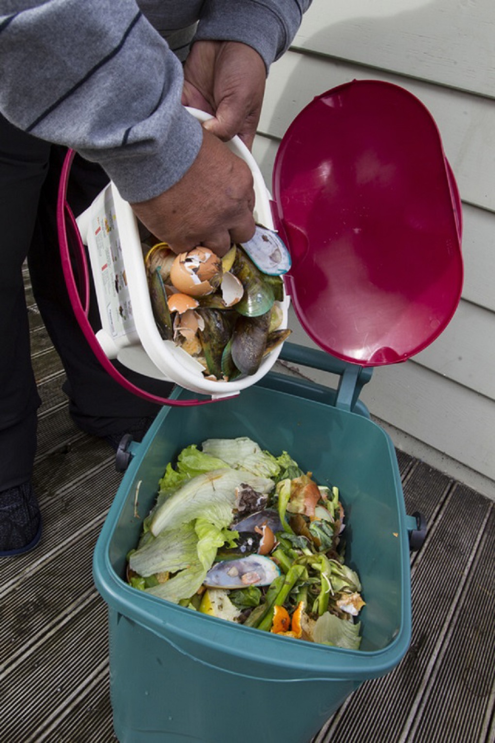 Papakura food scrap collections cut landfill load