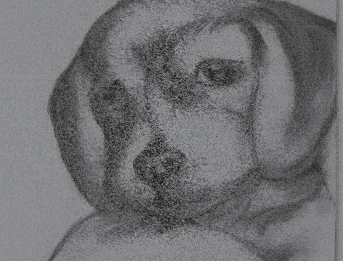 Dog Mutu v2_maidxxkz.jpg