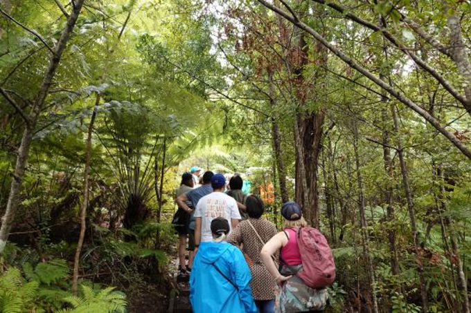 DSC02917 A_0ql3c31y.JPG