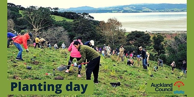 Waitawa Regional Park Planting Day