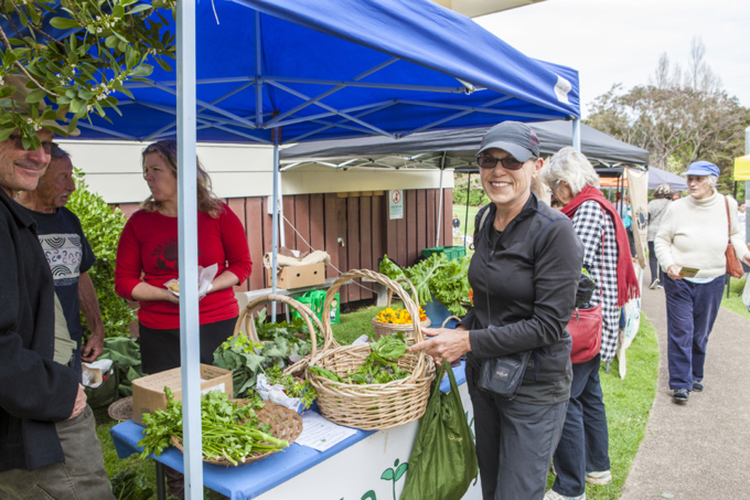 Spotlight on Waiheke 1