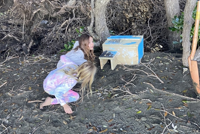 Little Penguin Roost Box 2 (1)