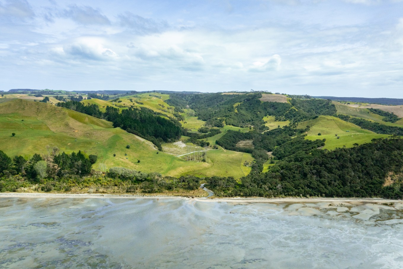 A coastal beach area. 