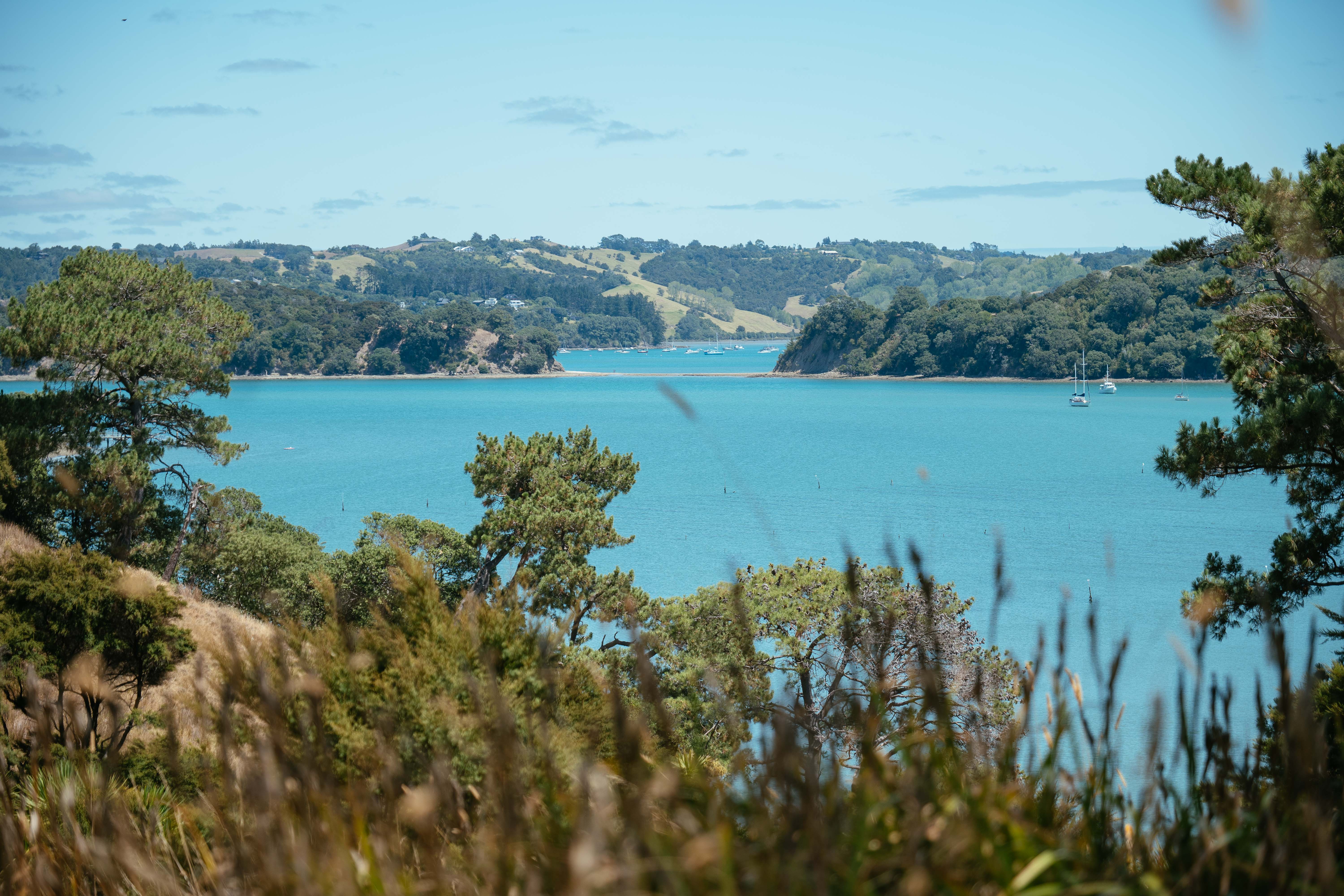 New Mahurangi Parkland Provides Unrivalled Access To Harbour - Ourauckland