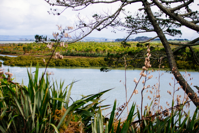 Manurewa-Papakura receives multi-million dollar investment boost in 10-year Budget