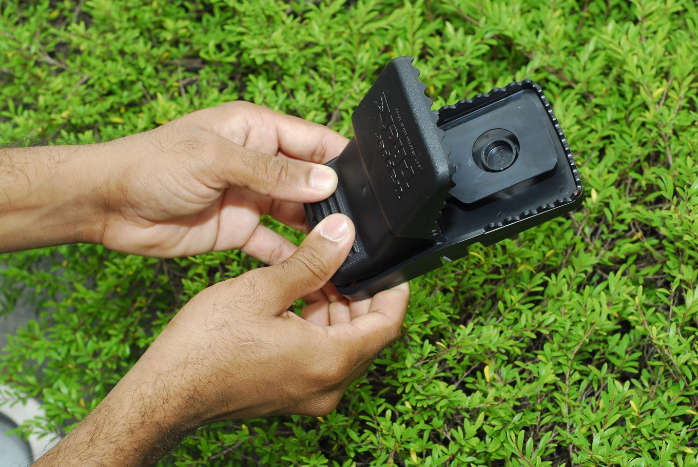 Tips for trapping rats - OurAuckland