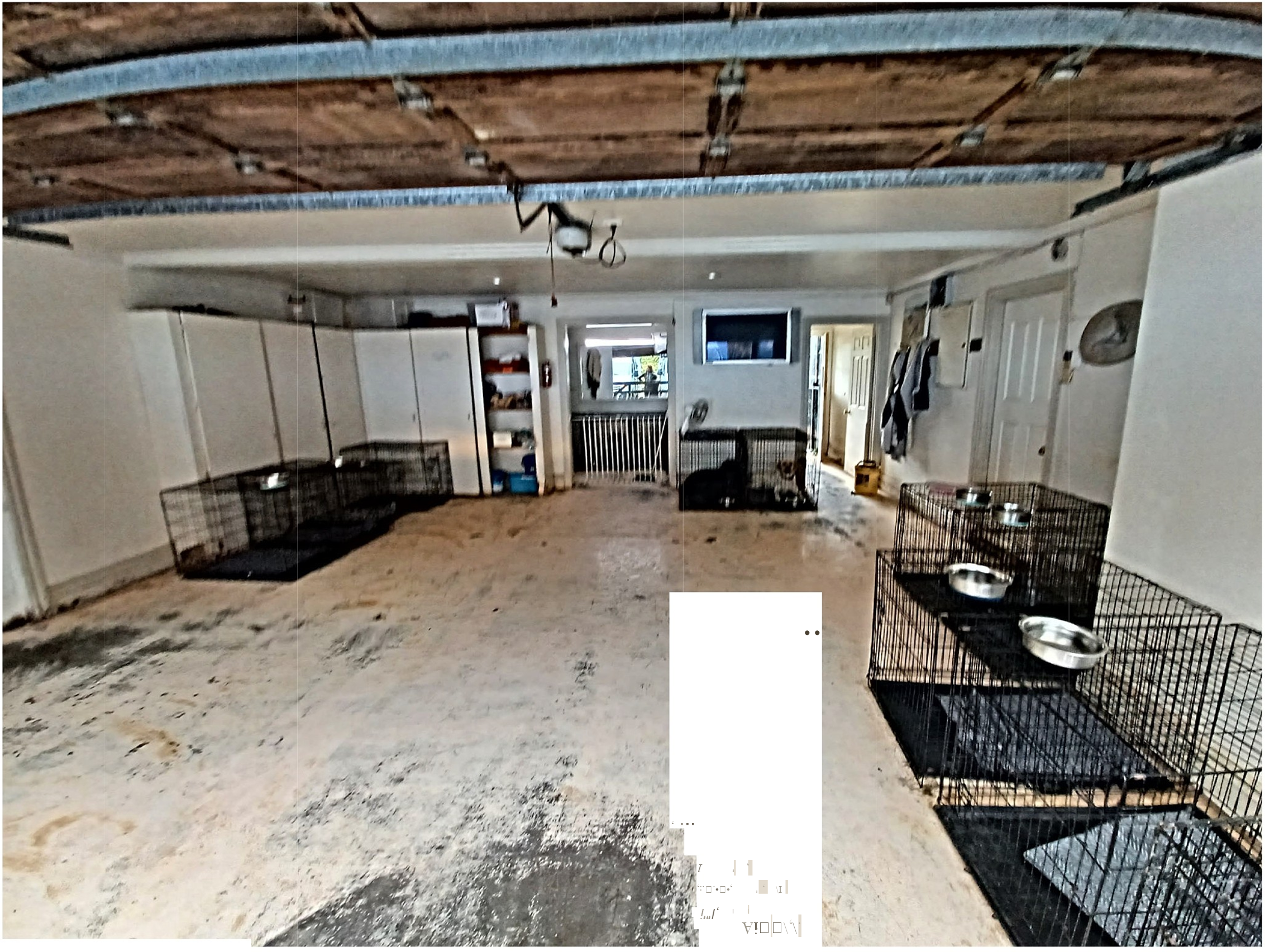 Play room at Pat & Paws.