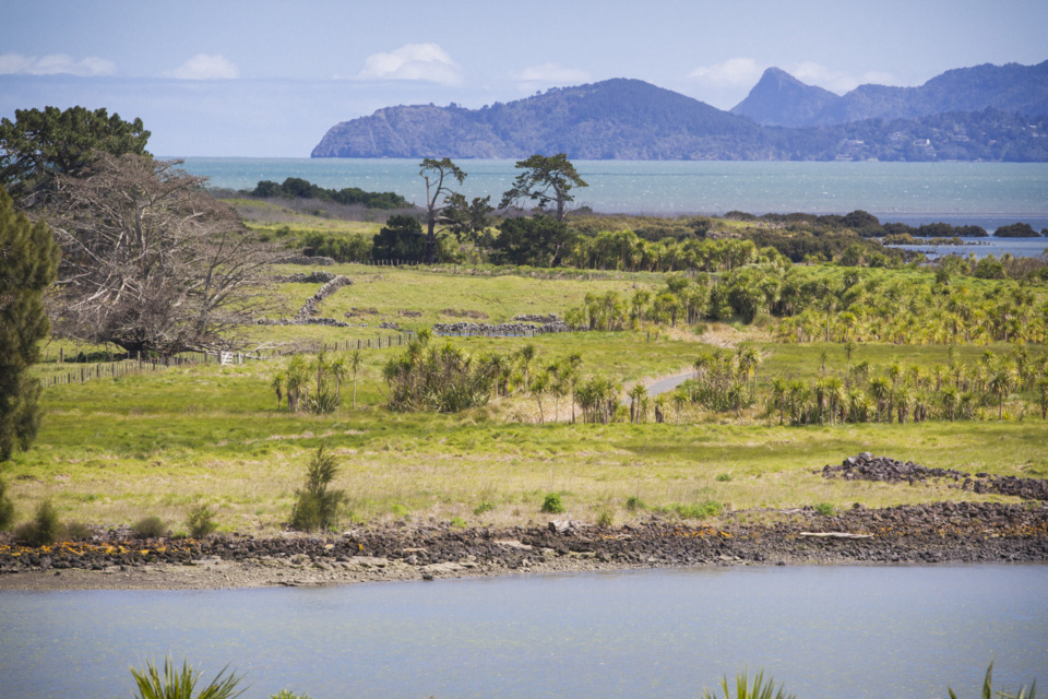 Ōtuataua Stonefields Walk