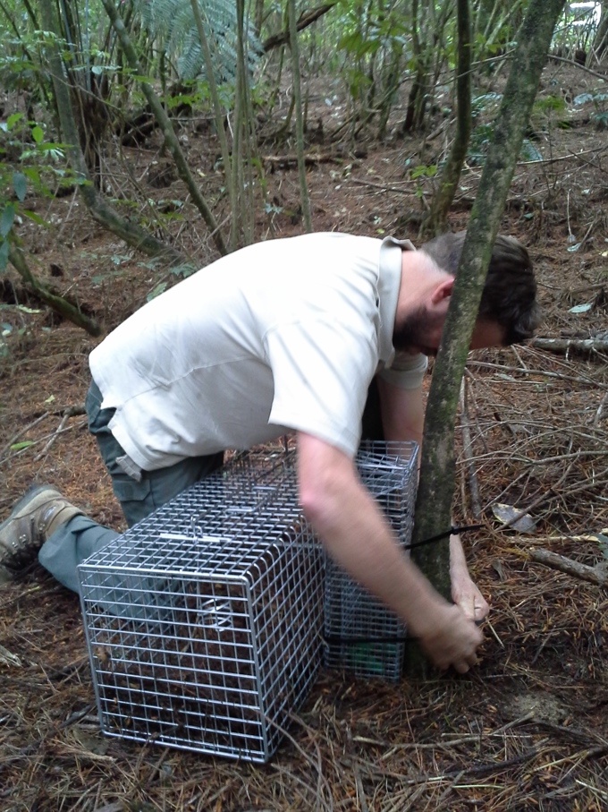 Hunua caution period lifted (1)