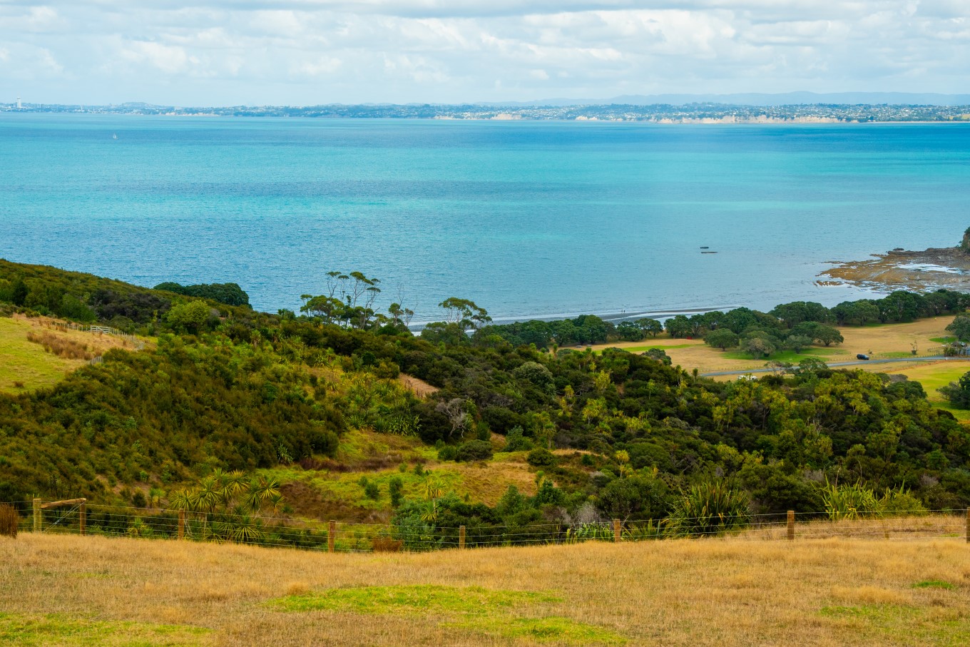 Shakespear Regional Park.