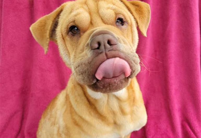 24Dd04ef 6B28 48D0 8F03 B8434acba125