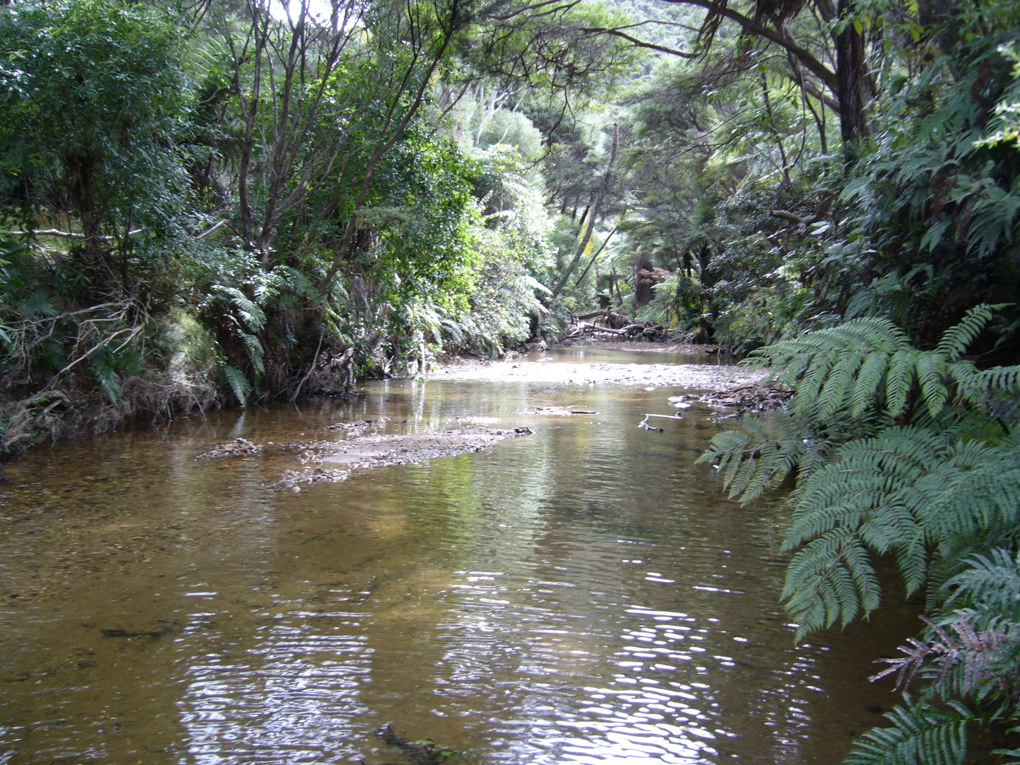 After the weir was removed
