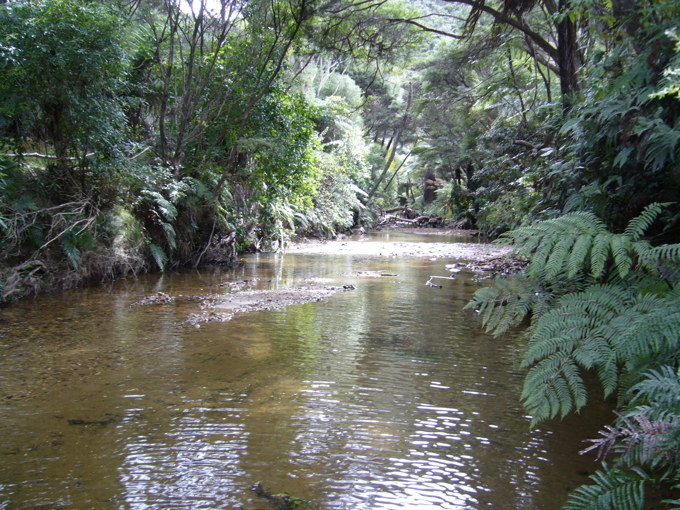 After the weir was removed