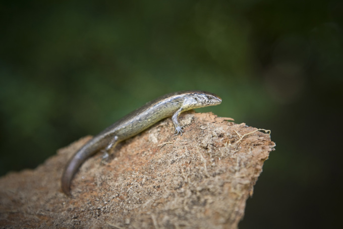 Planning on doing some planting in spring 3