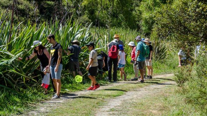 Bug hunt with entomologists_1ti044lt.jpg