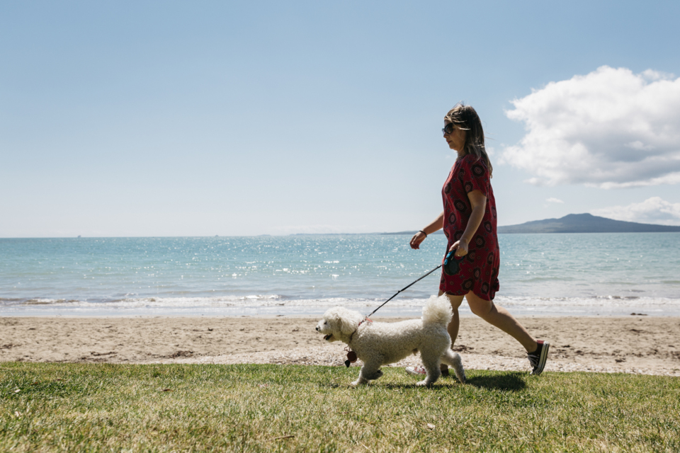 ourauckland.aucklandcouncil.govt.nz