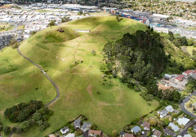 Native planting restoration at  Maungarei / Mt Wellington to begin