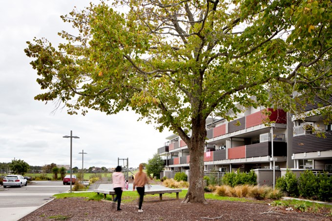 Council approves urban forest strategy